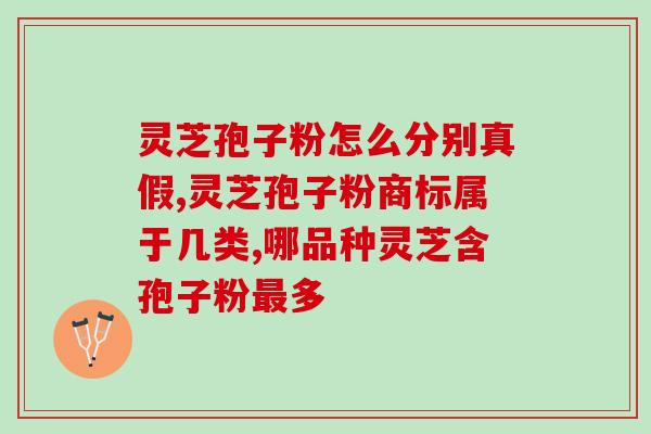 灵芝孢子囊怎么保存(灵芝孢子囊的妙招，保存无忧)