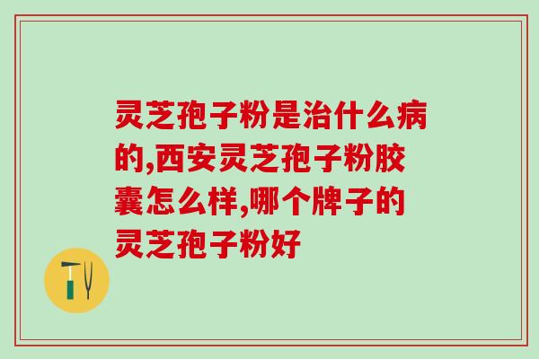 灵芝孢子可以冲牛奶吗？过敏体质不能吃灵芝孢子粉吗