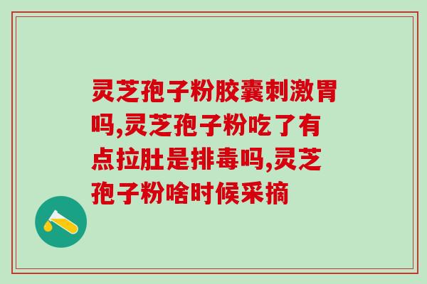 灵芝孢子怎么泡水喝(灵芝孢子的正确泡水方法)