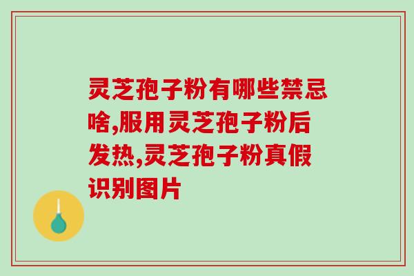 灵芝孢子油功效保健？仙芝楼灵芝孢子油效果怎么样