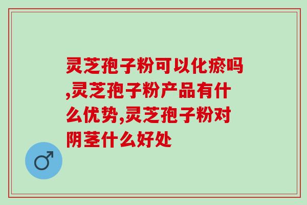 灵芝孢子可以炖排骨吗 (灵芝孢子炖排骨的做法及功效)