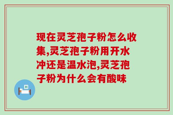 灵芝孢子在哪个位置(灵芝孢子的来源及生长位置简介)