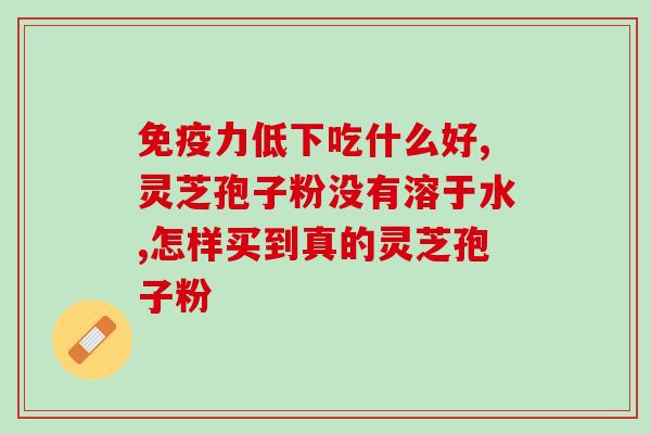 灵芝孢子油原料药厂家(灵芝孢子油原料药供应商)