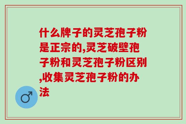 灵芝孢子油的性味归经(【中医养生】灵芝孢子油的性质归属)