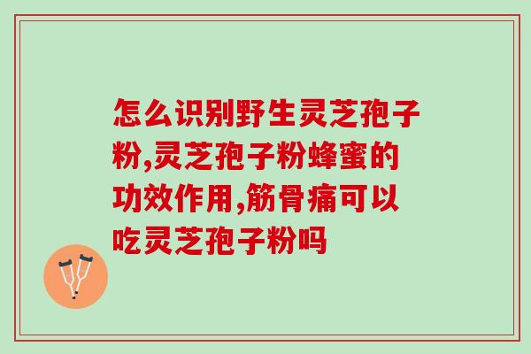 灵芝孢子和孢子粉功效？灵芝孢子粉功效与作用及用量是什么