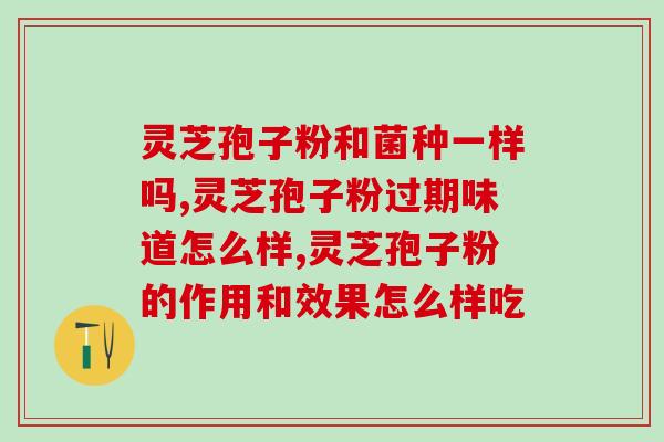 灵芝孢子油一天吃一粒(一粒灵芝孢子油的功效与作用全解析)