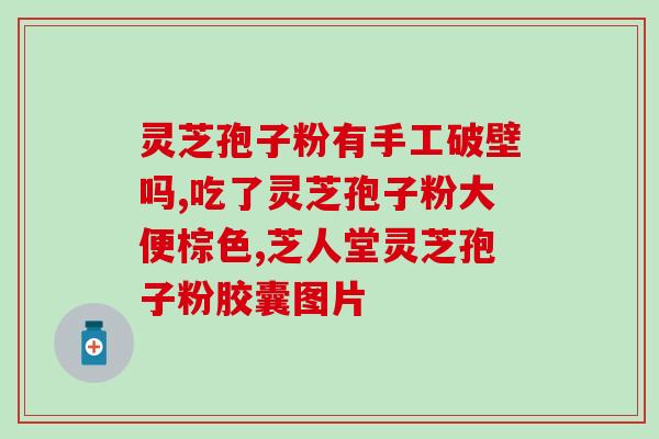 灵芝孢子破壁工艺？破壳和破壁的区别