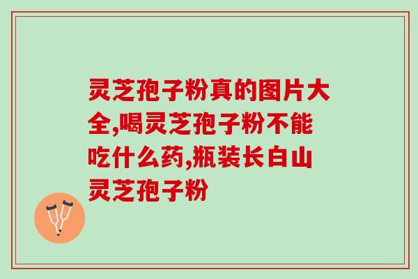 灵芝孢子粉 破壁机(破壁灵芝孢子粉机，提炼更多养分)