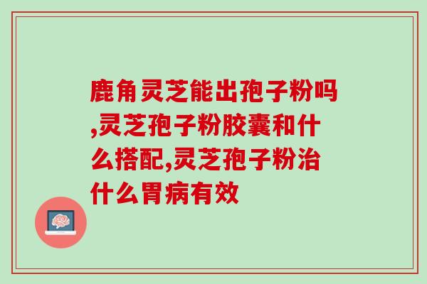 灵芝孢子成熟？10克孢子粉大约多少