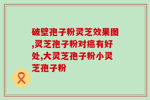 灵芝孢子粉几起效？灵芝孢子粉破壁99%什么意思