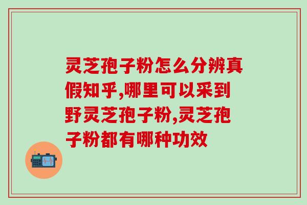 灵芝孢子粉t生产工艺说明(制备高质量灵芝孢子粉的工艺介绍)