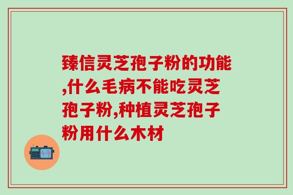 灵芝孢子粉3000目？一只灵芝可以产多少灵芝孢子粉