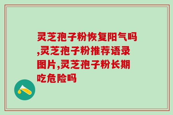 灵芝孢子粉来源？介绍灵芝孢子粉的采集和生产？