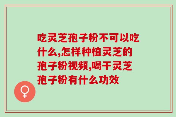 灵芝孢子粉服用几勺？灵芝孢子粉如何食用
