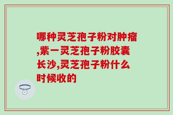 灵芝孢子粉治疗肺气虚寒吗(灵芝孢子粉能治疗肺气虚寒吗？)