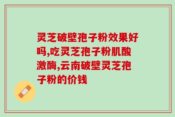 灵芝孢子粉桶好还是袋好(灵芝孢子粉：选桶装还是袋装？
