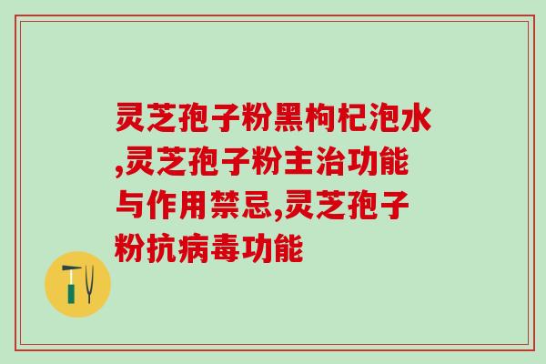 灵芝孢子粉泡水方法(如何正确泡灵芝孢子粉？)