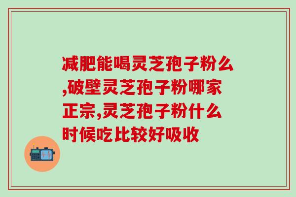 灵芝孢子粉爆炸签(灵芝孢子粉厂房爆炸，多人受伤)