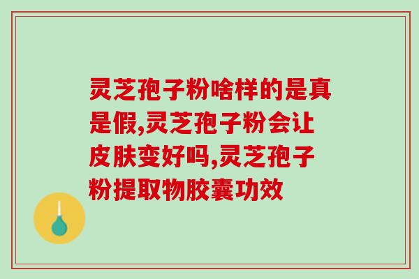 灵芝孢子粉生物去壁(提升的灵芝孢子粉经过生物处理去壁,更健康有效) 灵芝孢子粉生物去壁(提升的灵芝孢子粉经过生物处理去壁,更健康有效)