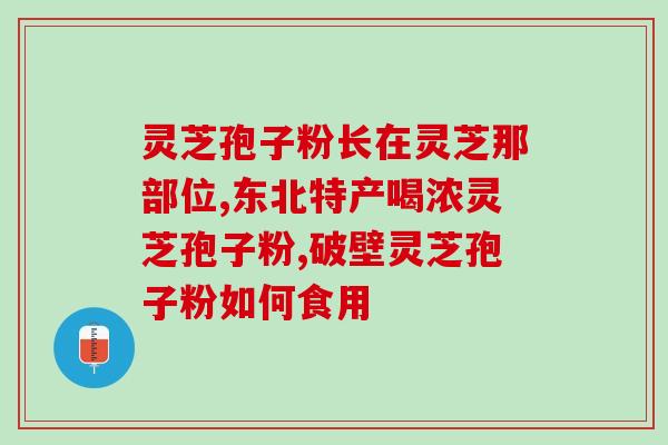 灵芝孢子粉男人怎么吃？灵芝孢子粉怎么吃最好