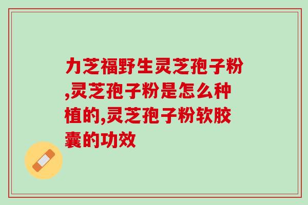 灵芝孢子粉生理期可以喝吗(生理期可以喝灵芝孢子粉吗？)