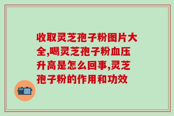 灵芝孢子粉的正确用法(正确使用灵芝孢子粉，你需要知道的几个关键点)
