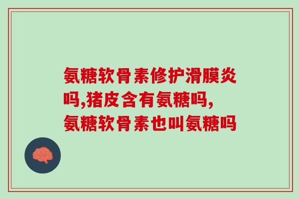 怀孕狗狗能吃软骨素吗(怀孕的狗狗可以食用软骨素吗？)