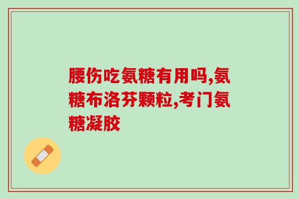 奥美氨基葡萄糖软骨素(奥美氨基葡萄糖：软骨健康的保护神)