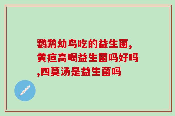 京善堂猕猴桃益生菌怎么样(京善堂猕猴桃益生菌的功效与作用简介)