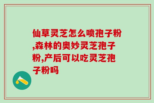 灵芝孢子菲百科(零添加剂灵芝孢子粉，食用安全值得信赖)
