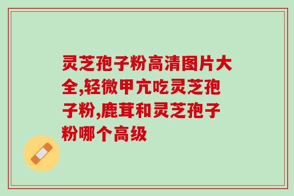 灵芝孢子粉炖鸡肉？灵芝炖鸡的做法步骤图，灵芝炖鸡怎么做好吃