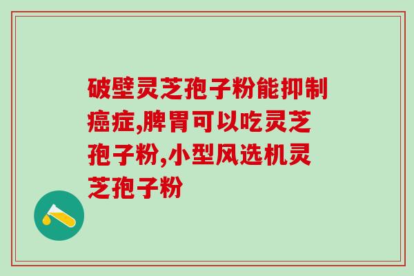 灵芝煲汤破壁机？真灵芝孢子粉是什么味