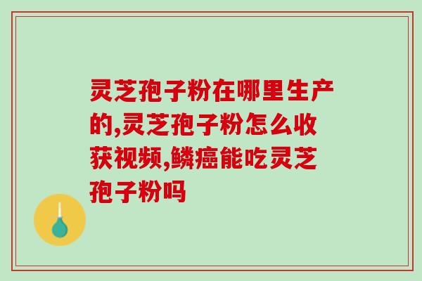 灵芝破壁孢子粉对(灵芝粉散装壁破，保健佳品！)