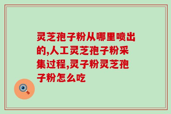 灵芝破壁孢子粉喝完吐？已采集了灵芝孢子粉的灵芝功效作用怎样呢