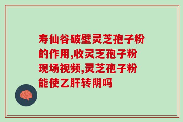 灵芝泡酒是什么用处 (了解灵芝泡酒的功效及用途)