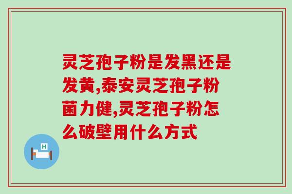灵芝泡粉 (灵芝以泡粉形式更易吸收，提升免疫力)