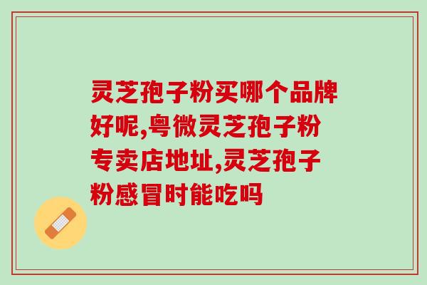 灵芝狍子 (神奇的灵芝狍子：益处多多！)