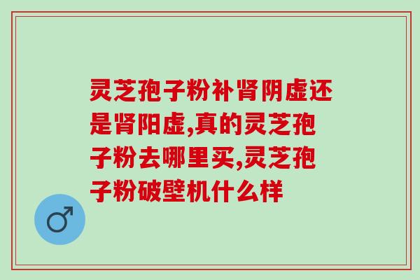 灵芝用破壁机怎样打碎好(如何使用破壁机完美打破灵芝？)