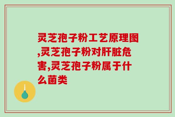 灵芝破壁子粉(灵芝粉爆款，破壁锁住营养！)