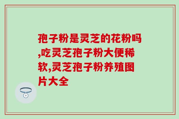 灵芝破壁粉怀孕能吃吗(怀孕期间能否食用灵芝破壁粉？)