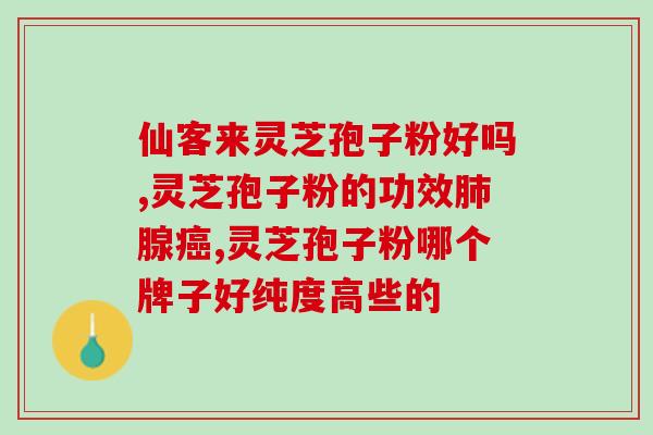 灵芝破壁超微纯粉价格(灵芝破壁超微纯粉优惠价，快来抢购！)
