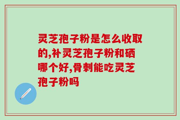 灵葆春破壁灵芝孢子粉价格(灵葆春灵芝孢子粉价格突破壁，护理身体好帮手！)