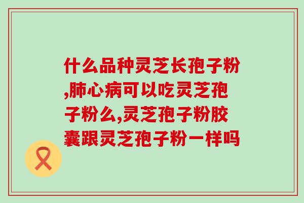 灵芝粉破壁视频？九阳破壁料理机是怎么打灵芝粉的