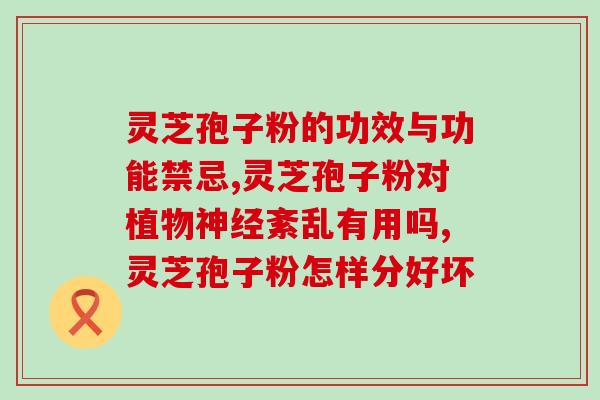 片装灵芝孢子粉(受欢迎的灵芝孢子粉产品测评：哪款好？)