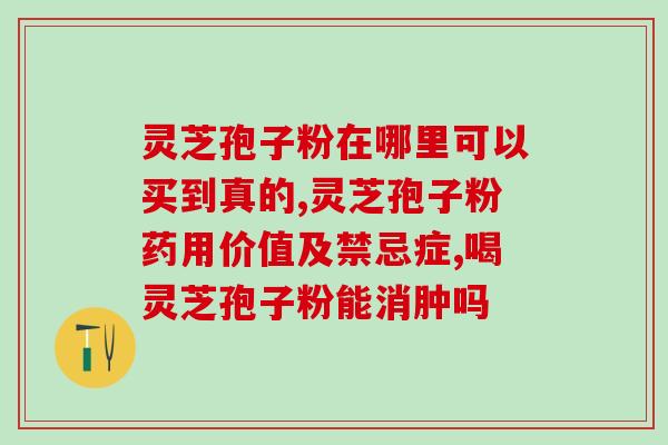 狗灵芝孢子粉推荐(推荐狗灵芝孢子粉，增强宠物免疫力)