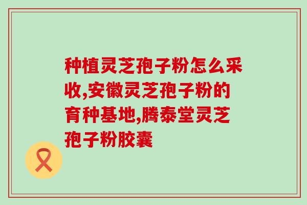 灵芝破壁孢子粉一天吃多少 (每日适量摄入灵芝破壁孢子粉，你知道吗？)