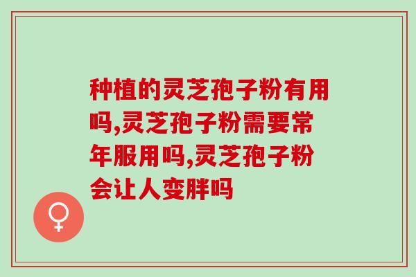 灵芝破壁孢子粉吃了会胖吗?可以吃灵芝孢子粉吗,为什么 灵芝破壁孢子粉吃了会胖吗?可以吃灵芝孢子粉吗,为什么