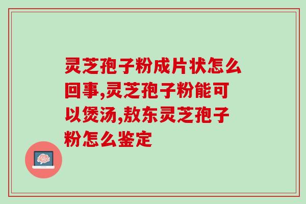 灵芝粉孢子粉功效及作用(灵芝孢子粉的功效与作用详解)