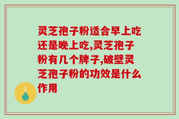 灵芝的破壁是什么流程(探究灵芝破壁过程是如何实现的)