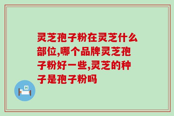破壁灵芝孢子粉珍满堂(珍品灵芝孢子粉，破土而出惊艳亮相！)